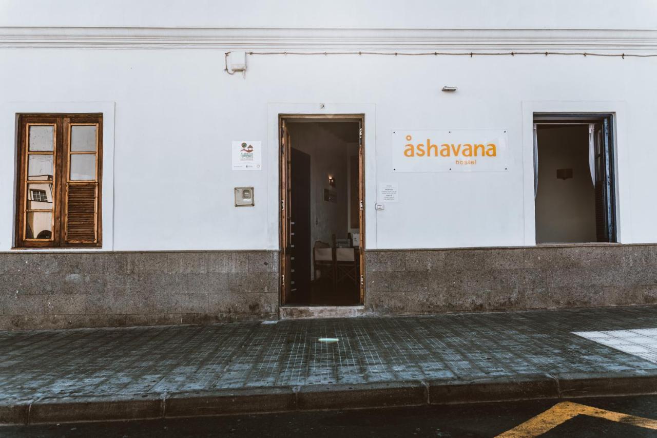 Ashavana Nest Hostel Ель-Медано Екстер'єр фото